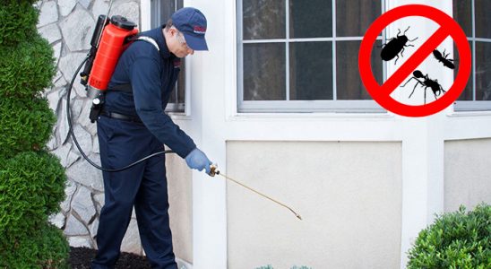 Iğdır Bit İlaçlama böcek ilaçlama ve haşere kontrolü — ilaclama-tr.com